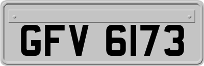 GFV6173