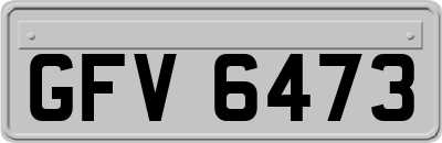 GFV6473