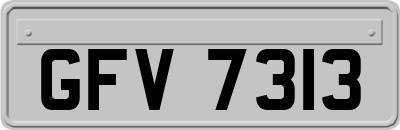 GFV7313
