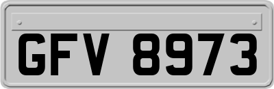 GFV8973