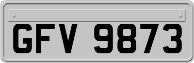 GFV9873