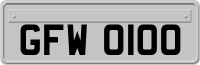 GFW0100