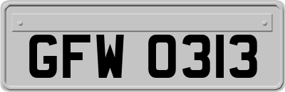 GFW0313