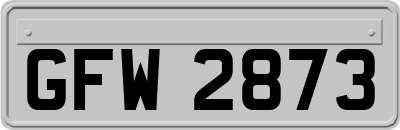GFW2873