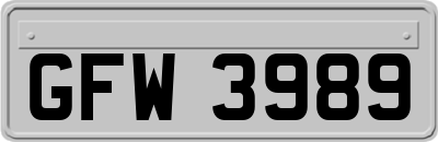 GFW3989