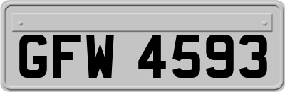 GFW4593