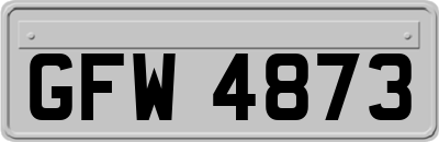 GFW4873