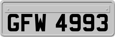 GFW4993