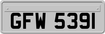 GFW5391