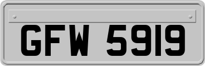 GFW5919