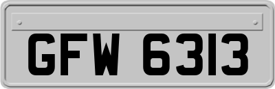 GFW6313