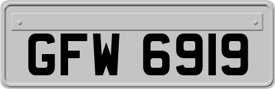 GFW6919