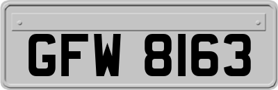 GFW8163