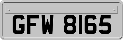 GFW8165