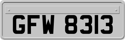 GFW8313