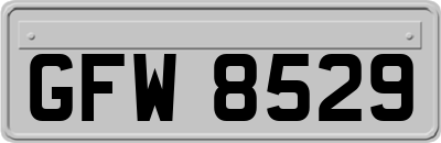 GFW8529