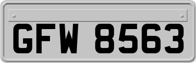 GFW8563