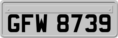 GFW8739