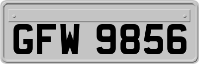 GFW9856