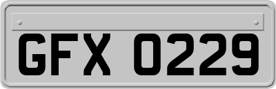 GFX0229