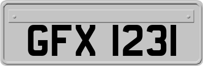GFX1231
