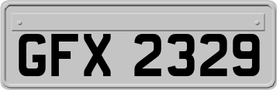 GFX2329