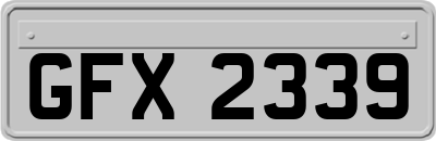 GFX2339