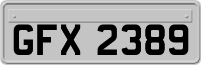 GFX2389