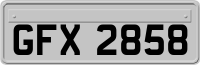 GFX2858