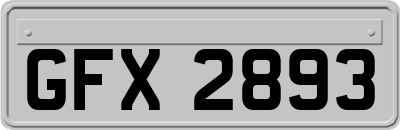 GFX2893