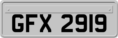 GFX2919