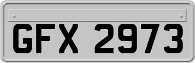 GFX2973
