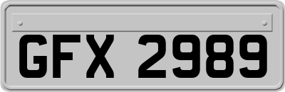 GFX2989