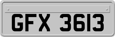 GFX3613