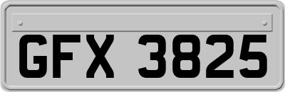 GFX3825