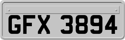 GFX3894