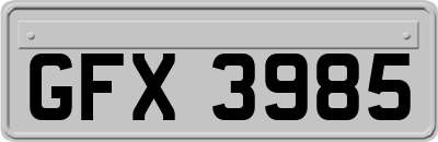 GFX3985