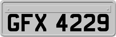 GFX4229