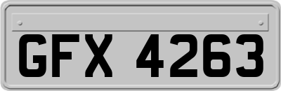 GFX4263
