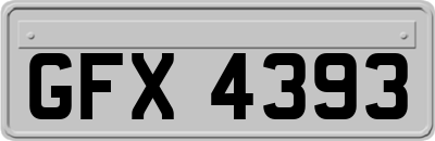 GFX4393