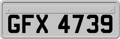 GFX4739