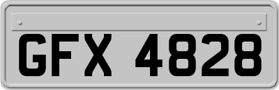 GFX4828