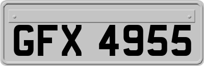 GFX4955