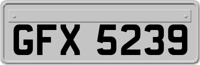 GFX5239