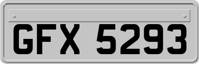 GFX5293
