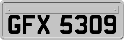 GFX5309