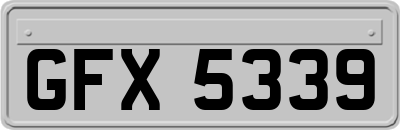 GFX5339