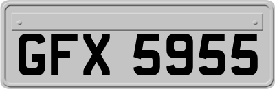 GFX5955