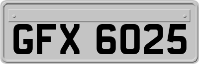 GFX6025