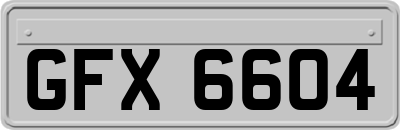GFX6604